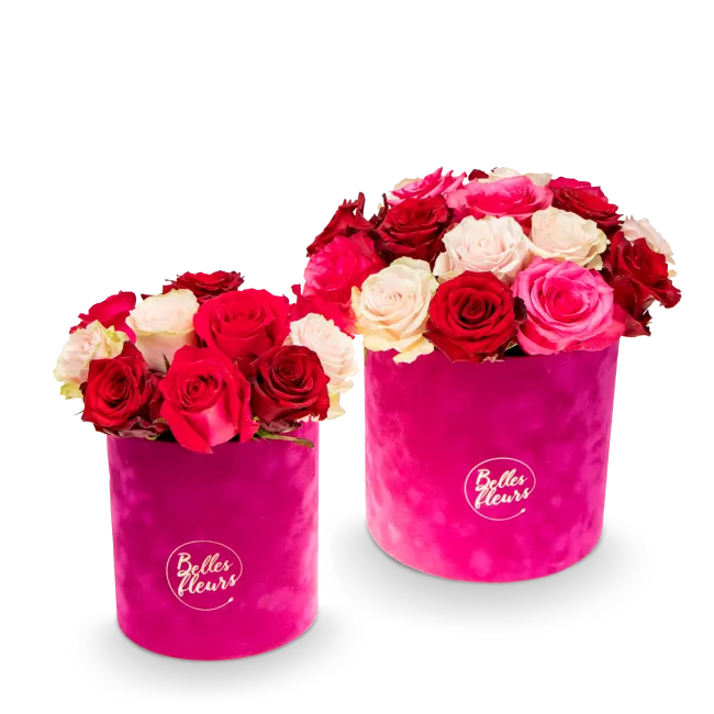 Květinový box růží